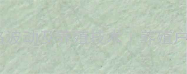 图片 🌟陕西鸡蛋价格波动及养殖技术｜养殖户必看全攻略💡2