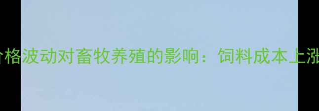 图片 🌾东港区玉米价格波动对畜牧养殖的影响：饲料成本上涨如何应对？🐄1