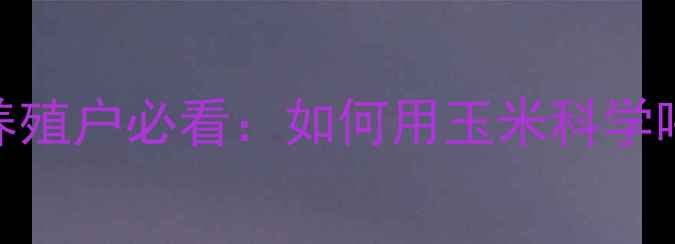 图片 🌾临清玉米价格波动大！养殖户必看：如何用玉米科学喂养降低成本，附最新行情