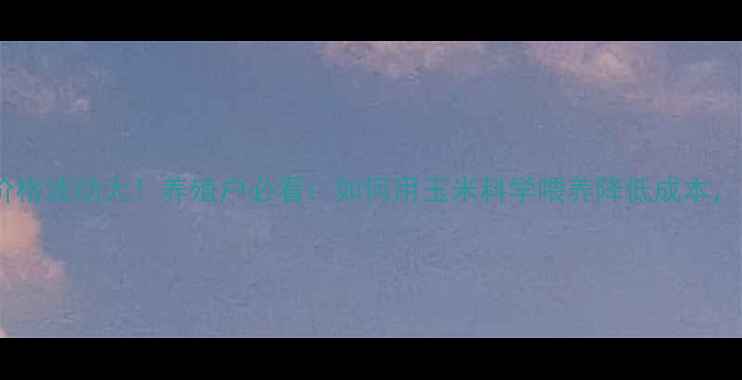 图片 🌾临清玉米价格波动大！养殖户必看：如何用玉米科学喂养降低成本，附最新行情1