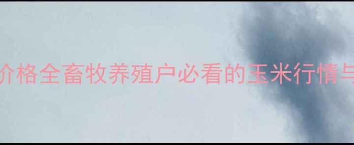 图片 🌾河南新乡玉米价格全畜牧养殖户必看的玉米行情与成本控制指南🐷