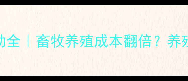 图片 🌾禹城玉米价格波动全｜畜牧养殖成本翻倍？养殖户必看的应对指南