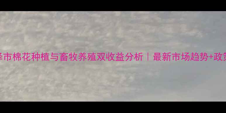 图片 🌾菏泽市棉花种植与畜牧养殖双收益分析｜最新市场趋势+政策解读