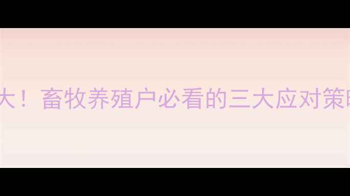 图片 🌾贵川玉米价格波动大！畜牧养殖户必看的三大应对策略（附最新行情）🌾2