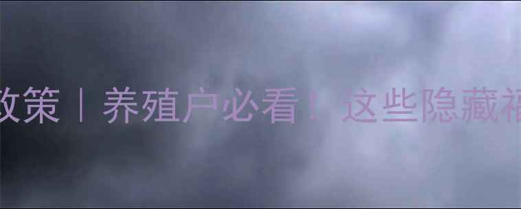 图片 🐄最新畜牧补贴政策｜养殖户必看！这些隐藏福利能省10万+💰1
