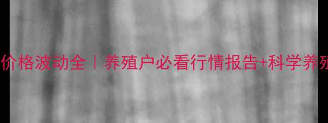 图片 🐇兔毛价格波动全｜养殖户必看行情报告+科学养殖指南1