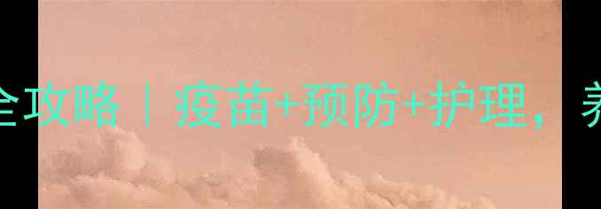 图片 🐷仔猪腹泻全攻略｜疫苗+预防+护理，养殖户必看！