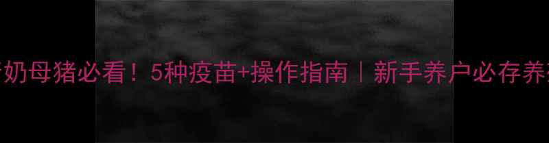 图片 🐷刚断奶母猪必看！5种疫苗+操作指南｜新手养户必存养殖干货