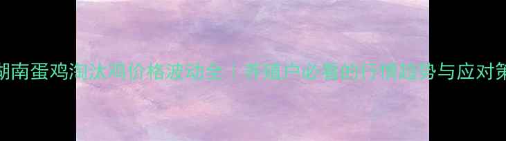 图片 📌湖南蛋鸡淘汰鸡价格波动全｜养殖户必看的行情趋势与应对策略
