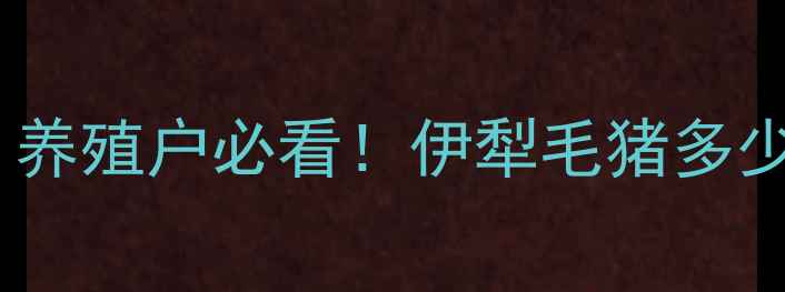 图片 🔥伊犁河谷毛猪价格最新行情｜养殖户必看！伊犁毛猪多少钱斤？这些关键数据别错过🔥1