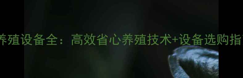 图片 🔥养肉鸡自动养殖设备全：高效省心养殖技术+设备选购指南（附案例）2