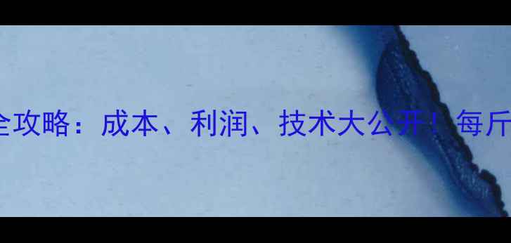 图片 🔥泥鳅养殖全攻略：成本、利润、技术大公开！每斤卖多少钱？2