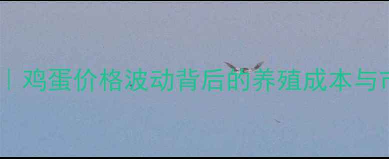 图片 🔥濮阳畜牧市场大｜鸡蛋价格波动背后的养殖成本与市场趋势全公开🥚1