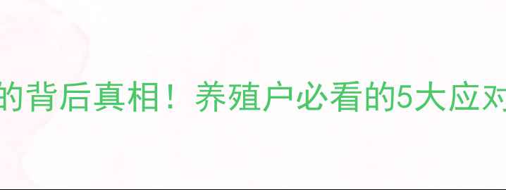 图片 🔥猪肉价格持续走高的背后真相！养殖户必看的5大应对策略（附完整指南）