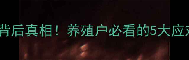 图片 🔥猪肉价格持续走高的背后真相！养殖户必看的5大应对策略（附完整指南）2