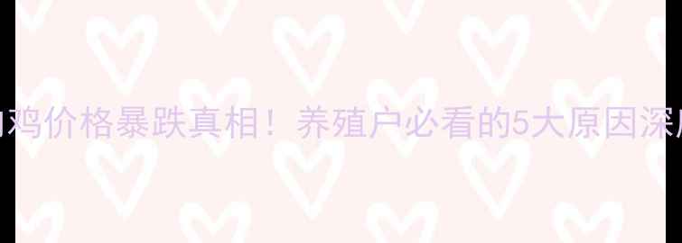 图片 🔥肉鸡价格暴跌真相！养殖户必看的5大原因深度💥