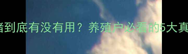 图片 🔥蓝耳疫苗打母猪到底有没有用？养殖户必看的5大真相与操作指南！2