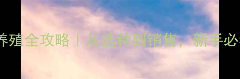 图片 🔥重庆潼南湖羊养殖全攻略｜从选种到销售，新手必看技术+利润分析