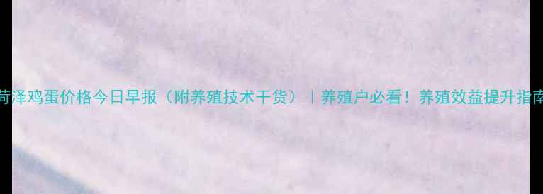 图片 🥚菏泽鸡蛋价格今日早报（附养殖技术干货）｜养殖户必看！养殖效益提升指南🐔